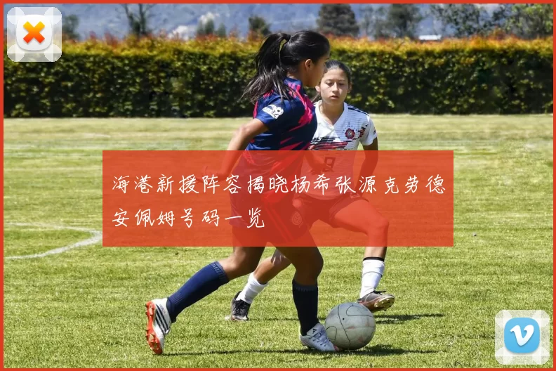 海港新援阵容揭晓杨希张源克劳德安佩姆号码一览