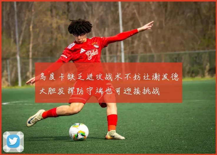 乌度卡缺乏进攻战术不妨让谢泼德大胆发挥防守端也可迎接挑战
