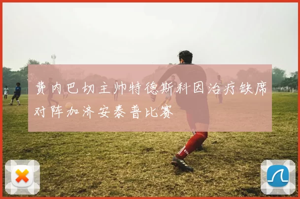 费内巴切主帅特德斯科因治疗缺席对阵加济安泰普比赛