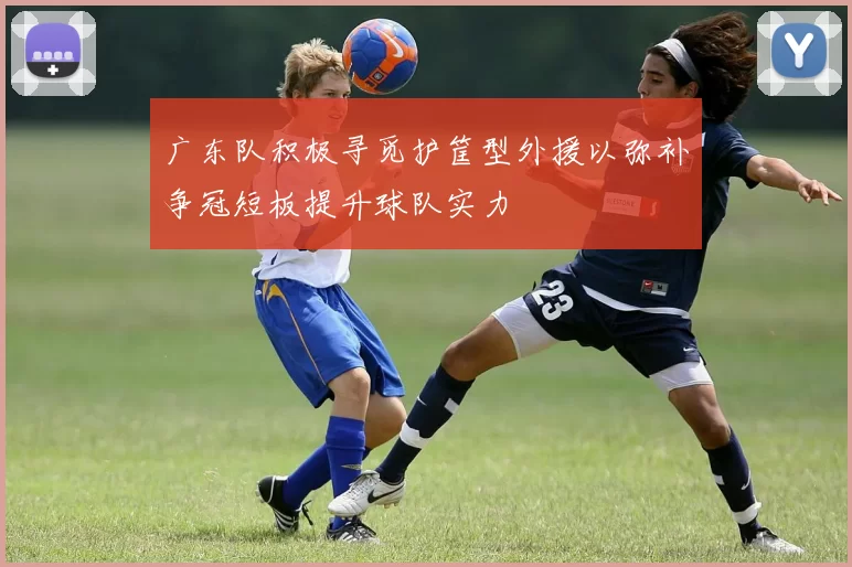 广东队积极寻觅护筐型外援以弥补争冠短板提升球队实力